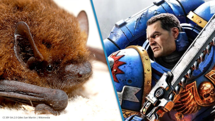 Warhammer's expansion plans are being thwarted by a tiny bat who won't move out