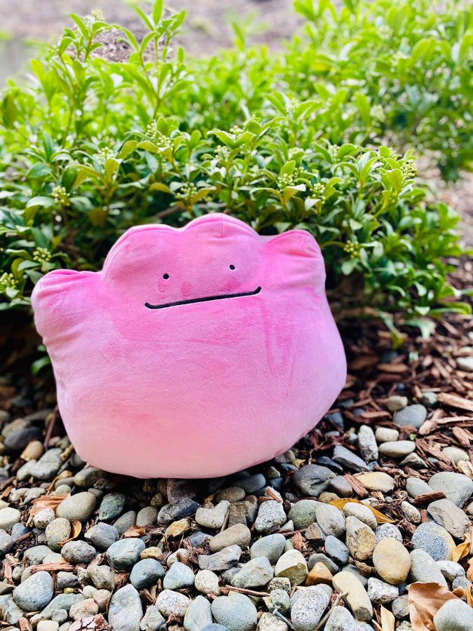 Video: Watch the official Ditto Transformation Battle on Pokémon Kids TV