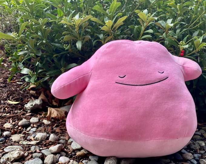 Ditto Comfy Friends Plush and Ditto Sitting Cuties Plush available now at the official Pokémon Center