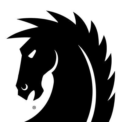 Dark Horse CEO Mike Richardson Responds to Questions