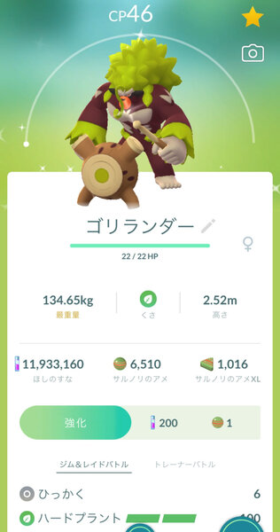 Pokémon GO screenshot of Shiny Rillaboom that knows the Pokémon GO Community Day exclusive move Frenzy Plant