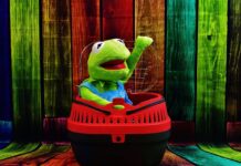 OBG 584: Small Box Big Fun