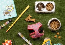 The Pokémon Company is teasing new Pokémon-themed dog toys and accessories, coming soon to the official Pokémon Center