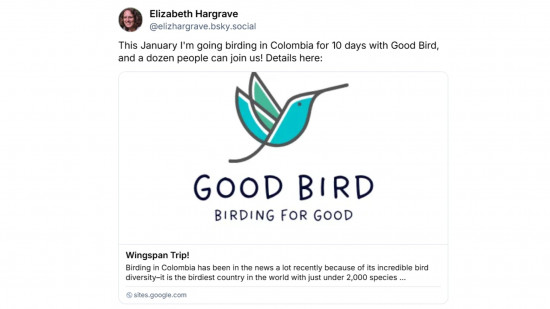 Wingspan board game designer Elizabeth Hargrave wants to take you bird-watching in Colombia